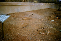 1960s 16
