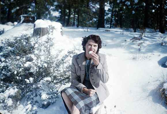 1960s 01