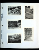 Stan's Album  08