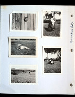 Stan's Album  09