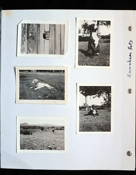 Stan's Album  09