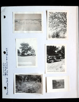 Stan's Album  14