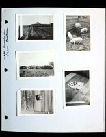 Stan's Album  10