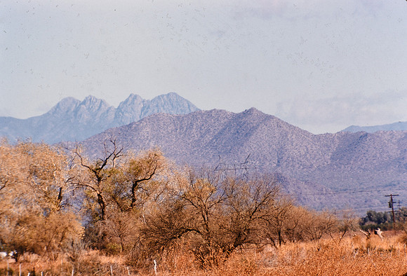 1950s 088, from Mesa 385mm