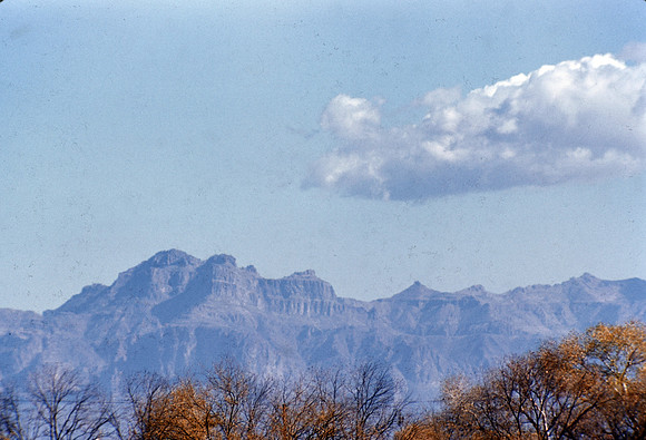 1950s 089, from Mesa 385mm