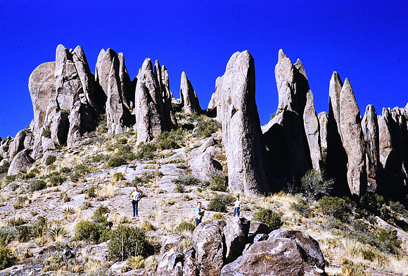 1950s 084