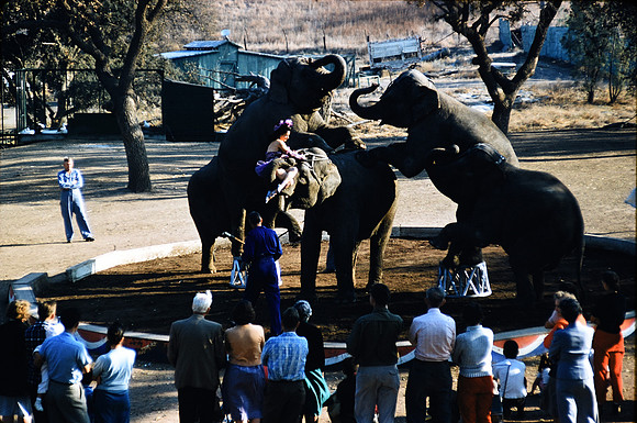 1950s 097