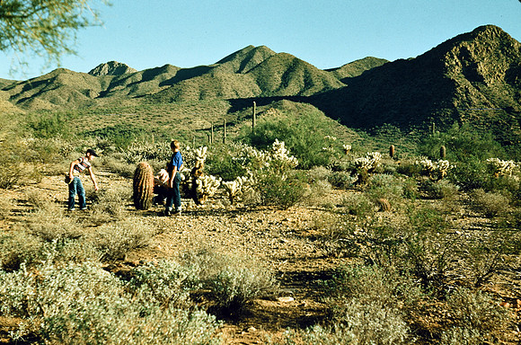 1950s 075