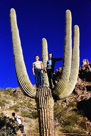 1950s 082