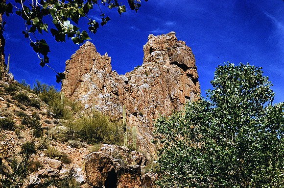 1950s 055