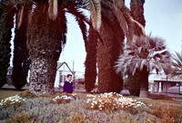 Robert 12 at AZ temple grounds