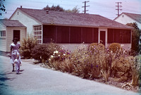 Bruce 14 1951