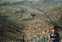Robert 03 North of Mesa
