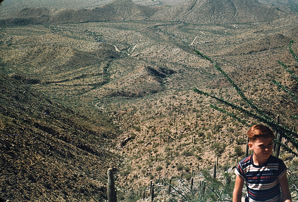 Robert 03 North of Mesa