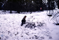 Bruce 19 Bruce in snow 1954