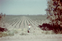 Robert 02 East of Mesa