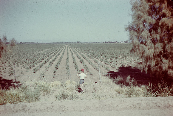 Robert 02 East of Mesa