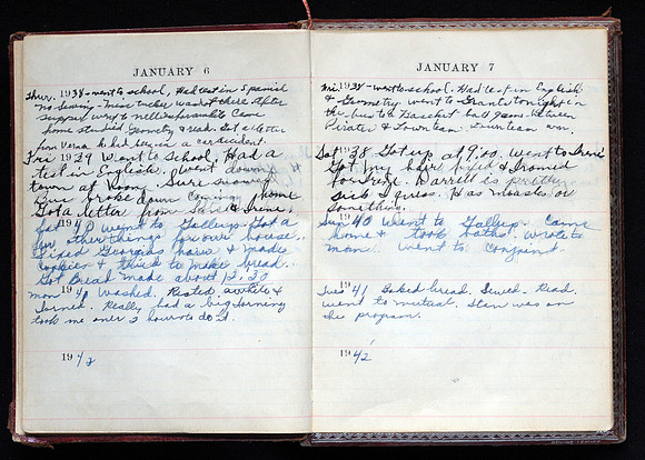 Lucille's Diary 003
